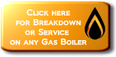 Click here to Contact Us for Breakdown or Service for any Boiler